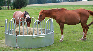 Mangiatoie per cavalli