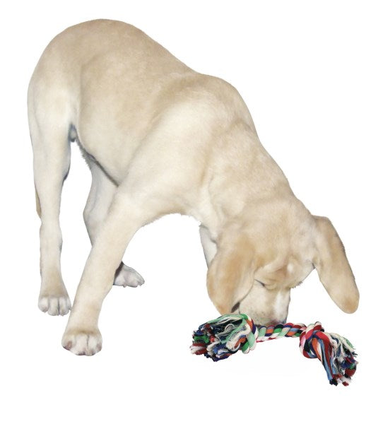 Nodo per cani: giocattolo in cotone resistente e divertente per la salute dentale