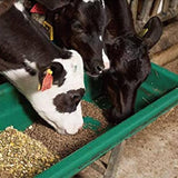 Mangimi Beikircher– Mangime per vacche da latte 15/30