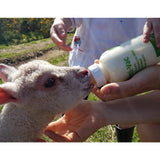 Bottiglia per agnello Anti-Vac da 1lt con tettarella in silicone