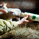 Bottiglia per agnello Anti-Vac da 1lt con tettarella in silicone