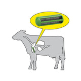 Magnetica ruminale in gabbia verde fortissimo per bovini