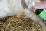 Desino Jod Plus Desinfektionsspray für alle Tierarten